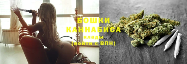 индика Белоозёрский