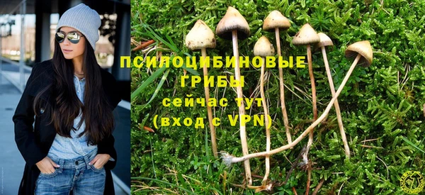 ALPHA PVP Белокуриха