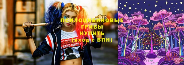 ALPHA PVP Белокуриха