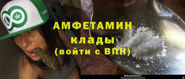 индика Белоозёрский