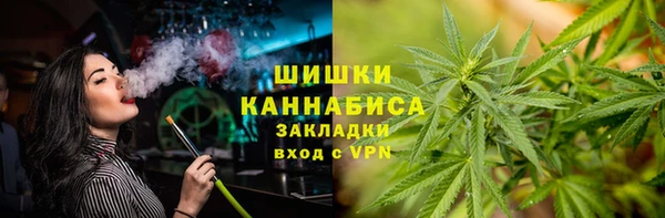 индика Белоозёрский